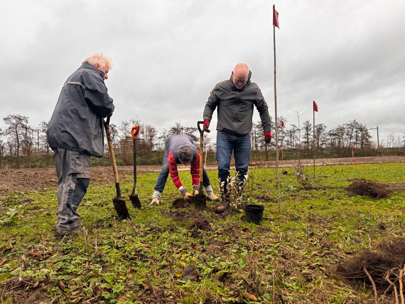 Drie deelnemers planten met schoppen een jonge boom tijdens een eerdere Greenbookings Boomplantdag