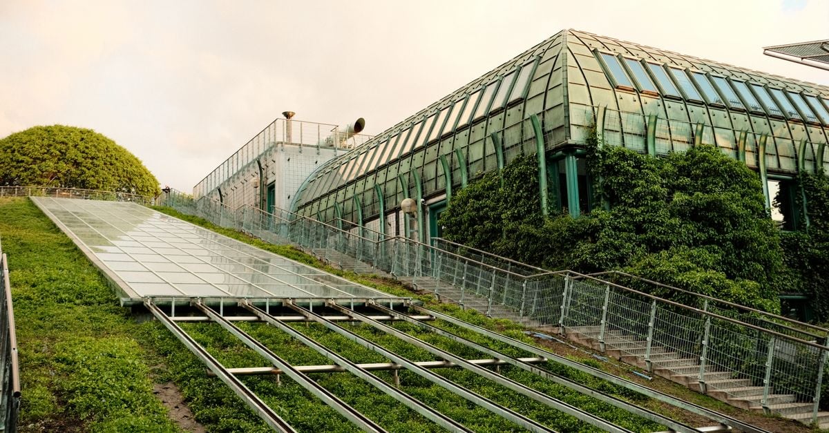 Modern eco-friendly building with a lush green roof and innovative architecture design.