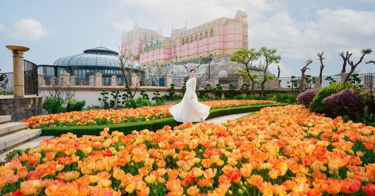 Een vrouw in een witte jurk loopt elegant door een tuin vol oranje tulpen, met een imposant gebouw op de achtergrond.