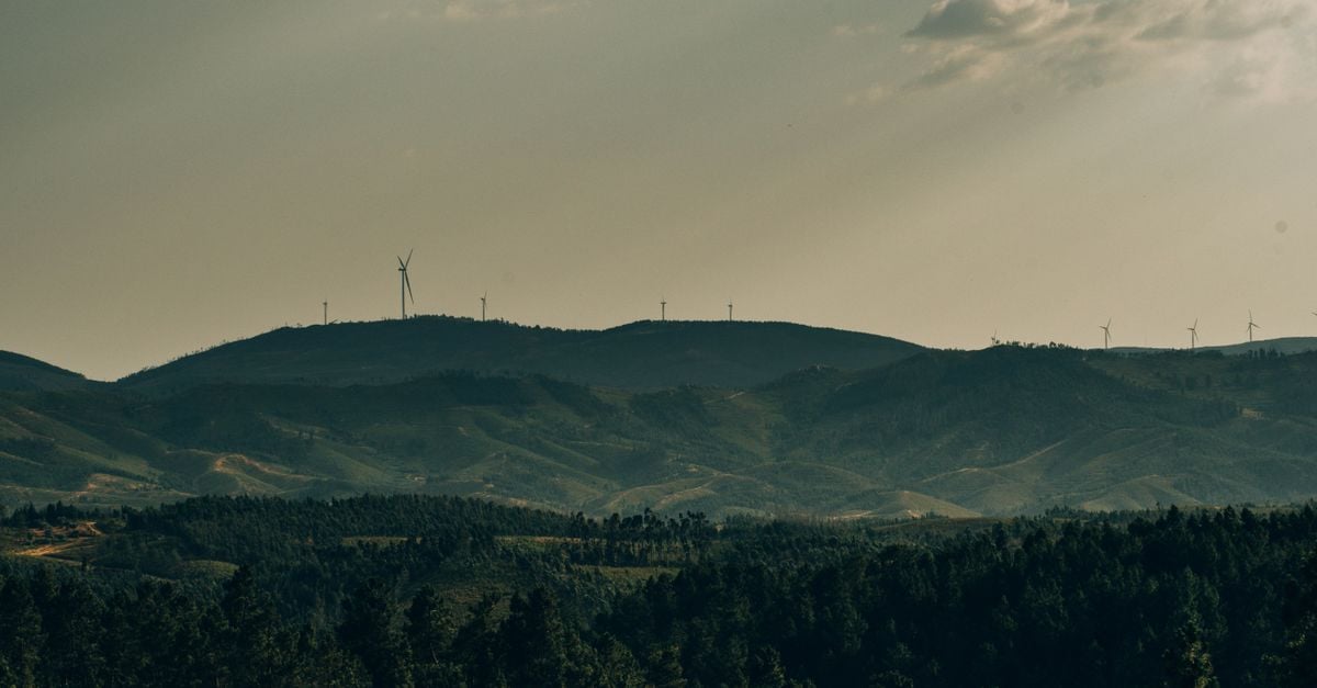 Vast landscape with wind turbines on the horizon during sunset, showcasing renewable energy.