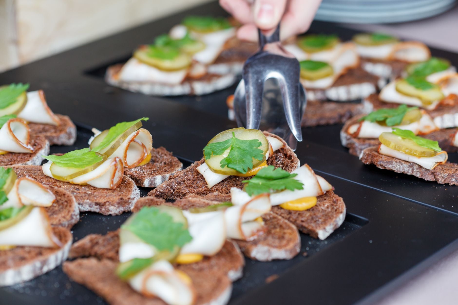 Heerlijke gourmet-hapjes geserveerd op een dienblad, gegarneerd met kruiden en groenten.
