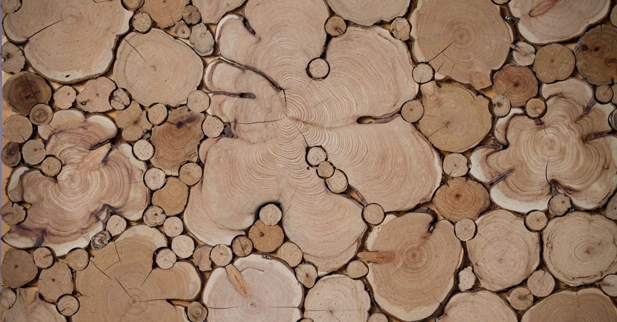 Sfeerbeeld bij Materiaal & bouw