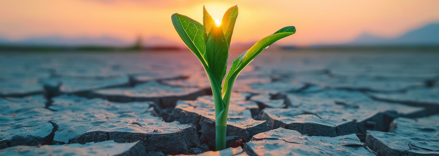 π Heb jij je al aangemeld voor het GreenBookings KlimaatGesprek?
