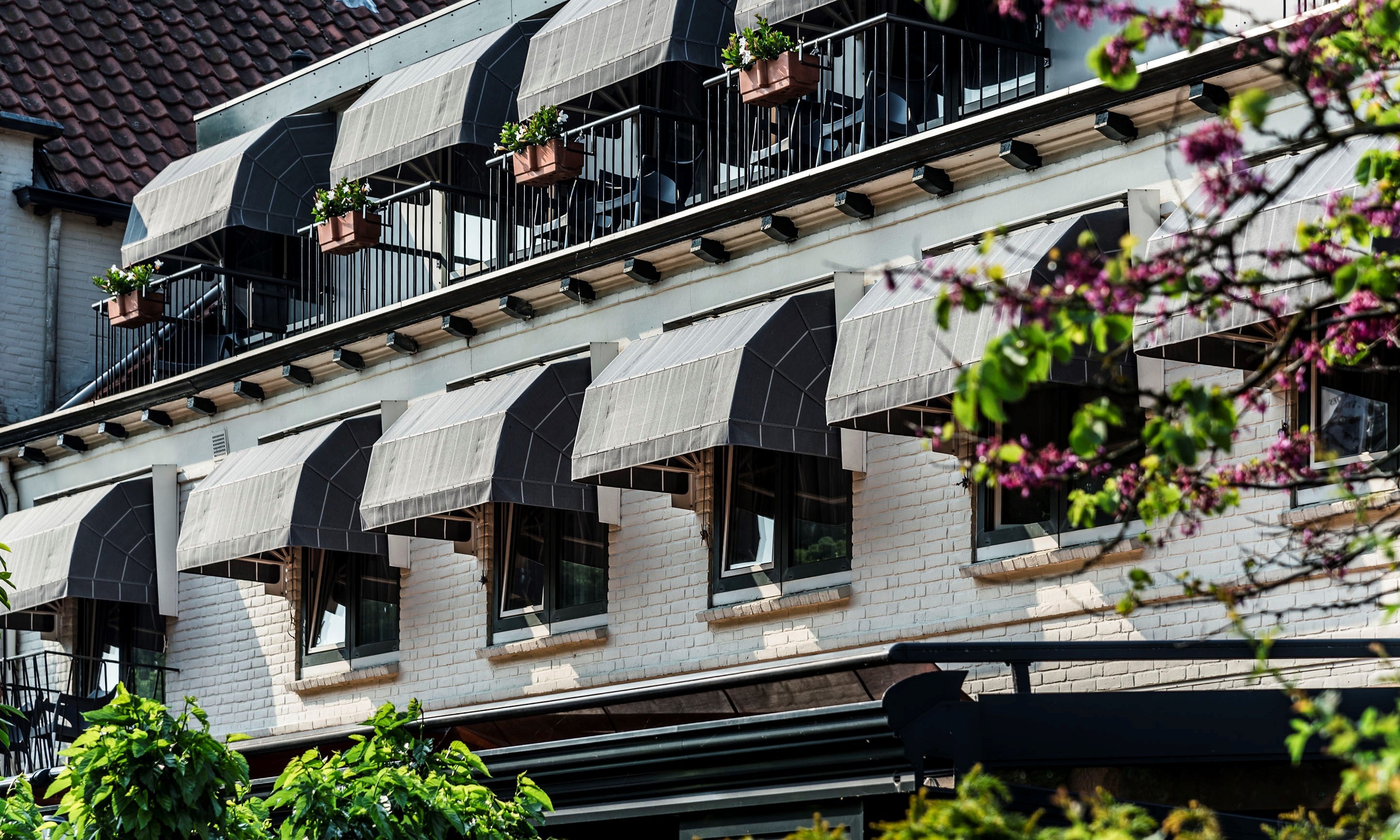 Sfeerbeeld van Hotel 't Paviljoen