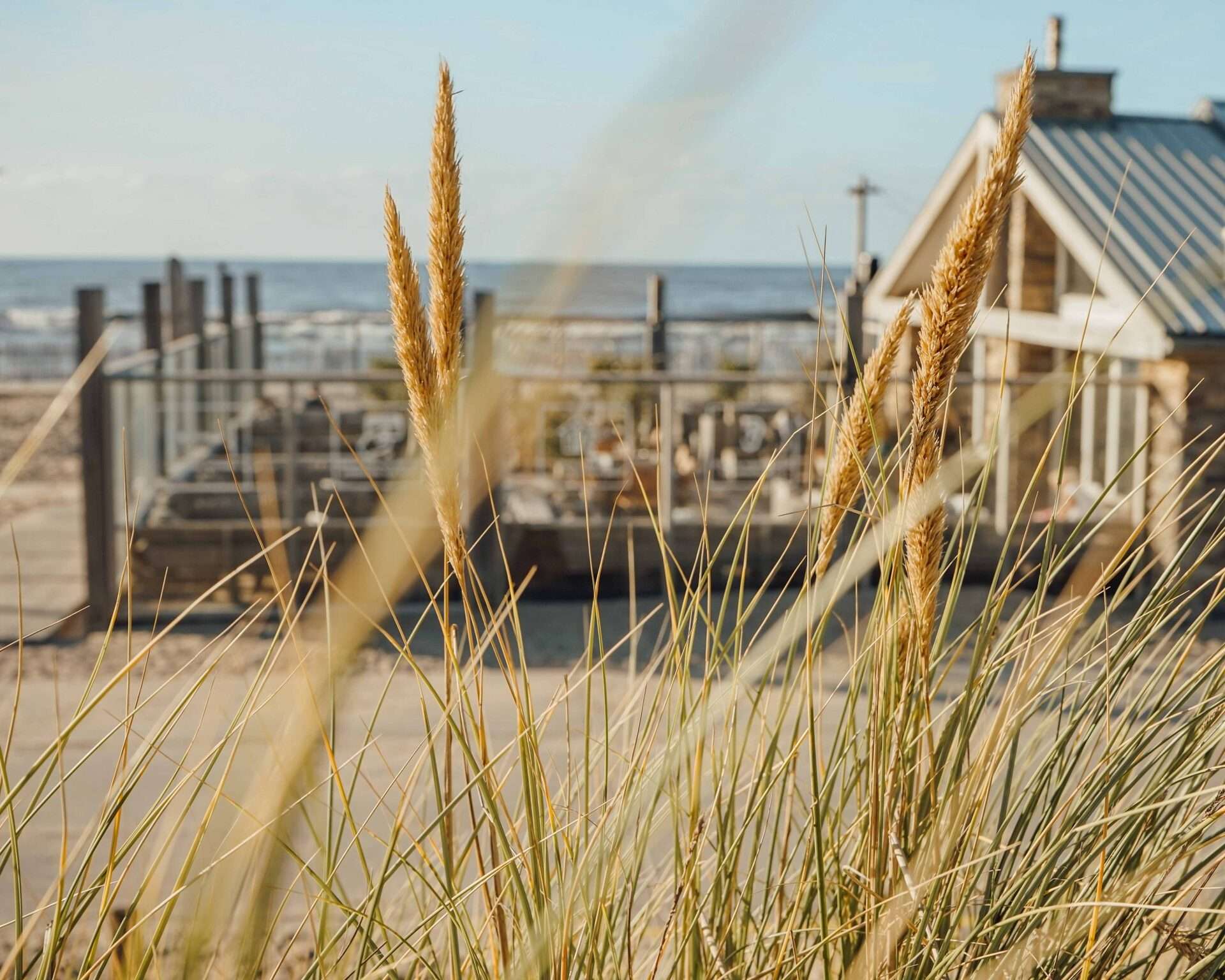 Sfeerbeeld van Surf en Beach